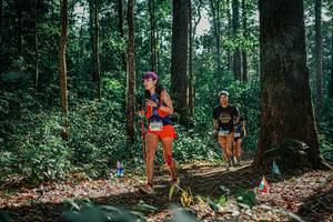 BIB: 
                            <button type="button" onclick="openModal(26081888)" class="btn btn-primary btn-sm float-right btn-popup" data-toggle="modal" data-target=".modal-high-quality">
                        <i class="fas fa-shopping-cart"></i> Add to Cart
                    </button>
                                            <button type="button" onclick="isThisMe(26081888, true)" class="btn btn-success btn-sm float-right btn-popup btn-isme hidden" data-toggle="tooltip" data-placement="bottom" title="นี่คือรูปของคุณใช่ไหม คลิกที่นี่เพื่อเอาเข้าอัลบั้ม">
                        <i class="fas fa-plus"></i> Add to album
                    </button>
                    <button type="button" onclick="isThisMe(26081888, false)" class="btn btn-warning btn-sm float-right btn-popup btn-isnotme hidden">
                        <i class="fas fa-ban"></i> Remove from album
                    </button>